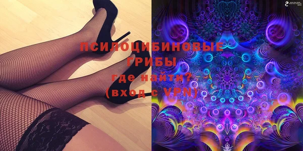 шишки Пересвет