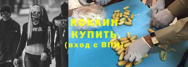 шишки Пересвет
