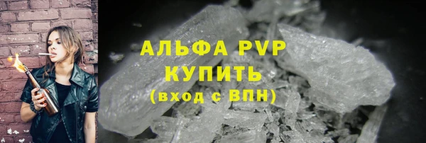 шишки Пересвет