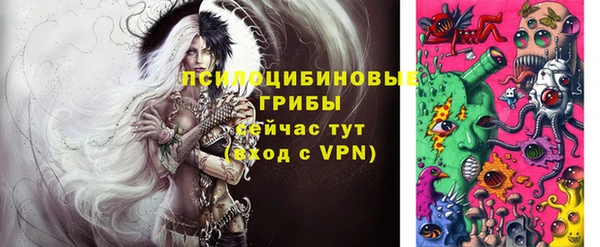 шишки Пересвет