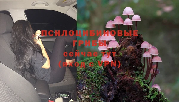 скорость Пестово