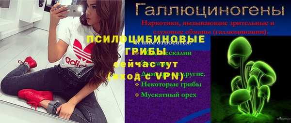 скорость Пестово