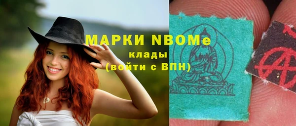 шишки Пересвет