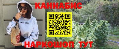 шишки Кингисепп