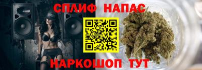 шишки Кингисепп