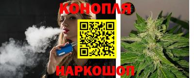 шишки Кингисепп