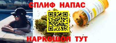 шишки Кингисепп