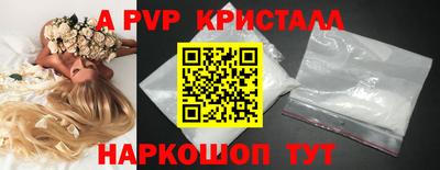 шишки Кингисепп