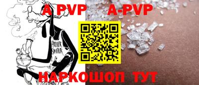 шишки Кингисепп