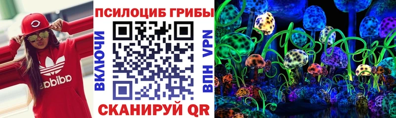 Галлюциногенные грибы ЛСД  где купить   Среднеуральск 